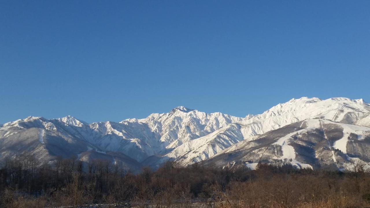 Little Alaskan Guest House 白马村 外观 照片
